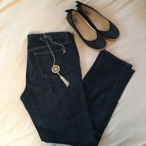 Gap Premium Skinny Jeans
